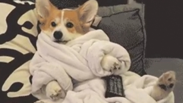 Game of Thrones", saison 7: La palme du meilleur remake revient à ... - yahoo.com