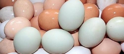 Benefits of eating eggs [Image: pixabay.com]