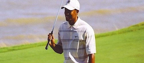 World's champion golfer Tiger Woods was arrested for DUI / Photo via TheAgency (CJStumpf) , Wikimedia Commmons