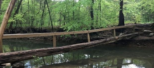 Photo by: Fredlyfish4 | https://commons.wikimedia.org/wiki/File:Turkey_Creek_footbridge_Alabama.JPG Photo by: Fredlyfish4 | https://commons.wikimedia.org/wiki/File:Turkey_Creek_footbridge_Alabama.JPG