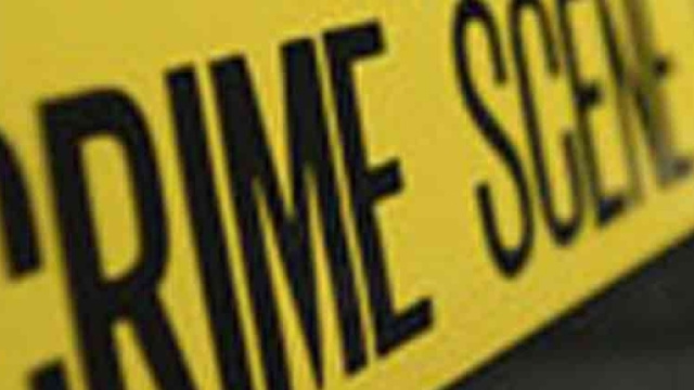 Crime investigation, profiler e prevenzione