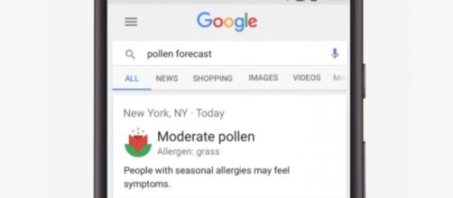 La nuova opzione di "previsione polline" su Google Mobile (Fonte: Google)