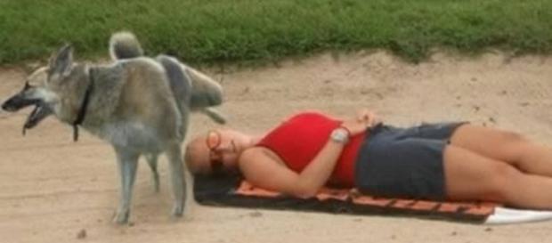 9 fotos hilárias que foram tiradas no verão (Foto/Facebook) 9 fotos hilárias que foram tiradas no verão (Foto/Facebook)