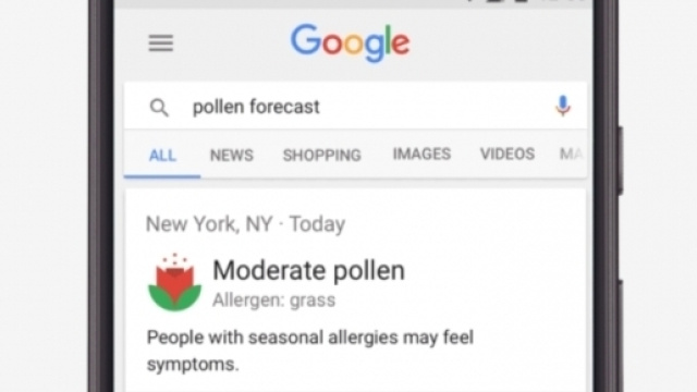 La nuova opzione di "previsione polline" su Google Mobile (Fonte: Google)