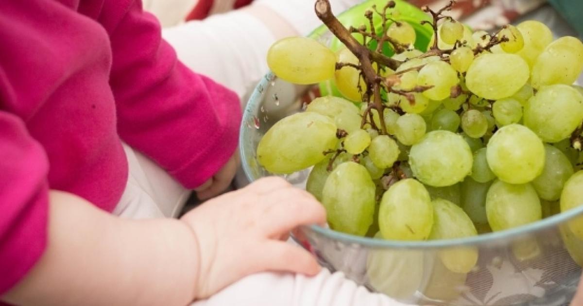 Twoyearold baby dies from choking on grapes