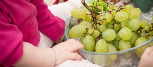 Baby and grapes (Image credit: iha31/Pixabay) Baby and grapes (Image credit: iha31/Pixabay)