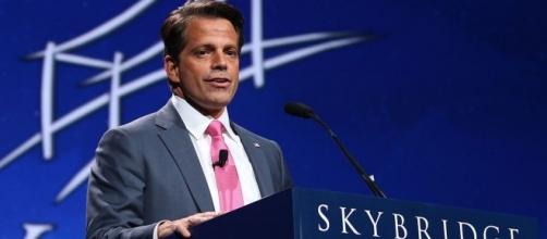 Anthony Scaramucci explains his phone conversation with a journalist where he attacked Reince Priebus. (Wikimedia/Jdarsie11)