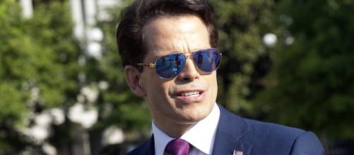 Anthony Scaramucci, looking for a new job -Variety.com