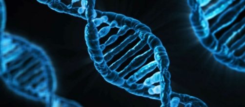 Pubblicato l'esperimento completo degli embrioni modificati geneticamente