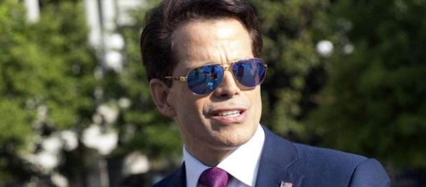 Anthony Scaramucci, looking for a new job -Variety.com Anthony Scaramucci, looking for a new job -Variety.com