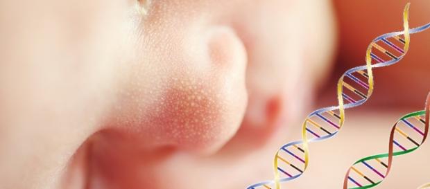 Avanço da Ciência: edição de genes em embriões humanos Avanço da Ciência: edição de genes em embriões humanos