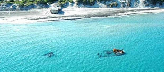 Bandiera blu in Puglia nel 2017. Bandiera blu in Puglia nel 2017.