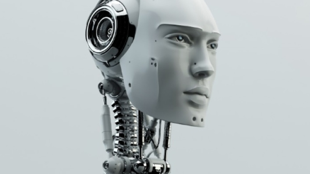 Due robot iniziano a parlare una lingua sconosciuta