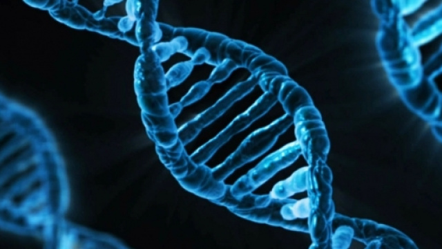 Pubblicato l'esperimento completo degli embrioni modificati geneticamente