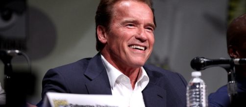 Arnold Schwarzenegger has something to say about neo-Nazi's heroes. Photo: Gage Skidmore/Creative Commons