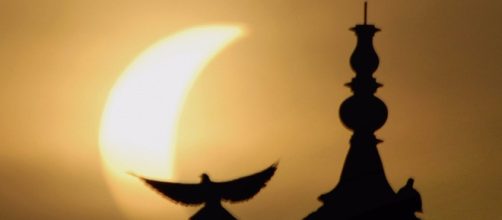 Solar eclipse 2017: Strange effects to look for - Business Insider - businessinsider.com