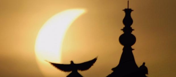 Solar eclipse 2017: Strange effects to look for - Business Insider - businessinsider.com Solar eclipse 2017: Strange effects to look for - Business Insider - businessinsider.com