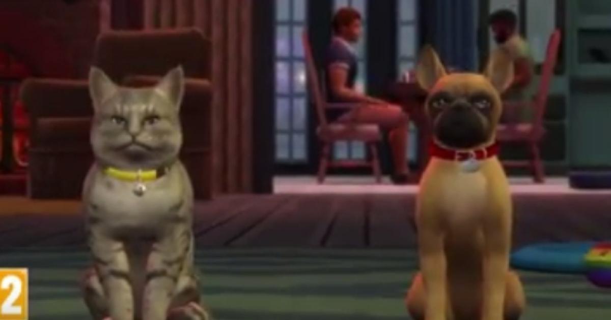 the sims 4 cats and dogs gameplay leaked
