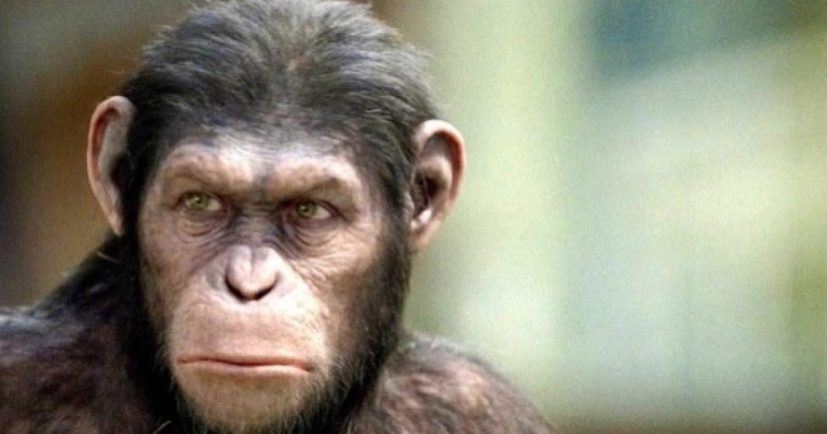 'Planet of the Apes: Last Frontier' video game announced