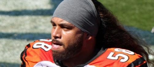 Rey Maualuga played eight seasons with the Bengals before he was released in March -- Jeffrey Beall via WikiCommons
