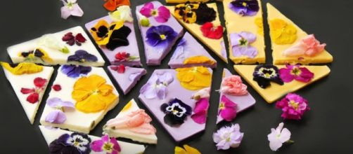 Edible flowers in chocolate bark / LOVE_The_SCOOP YouTube Channel