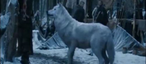 Game Of Thrones - season 2 Ep 2 - Jon Snow Direwolf Ghost jon stark | GoT | YouTube