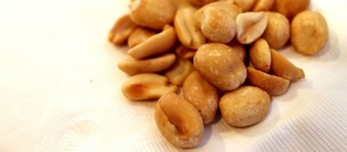 Peanut allergy immunotherapy may allow consumption of peanuts / Photo via Daniella Segura, Flickr