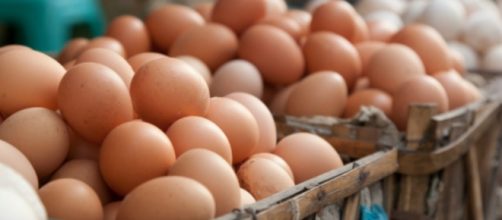 Uova al fipronil: accertata presenza in Italia