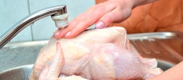 Afirman expertos que lavar el pollo crudo es un riesgo para la salud - info7.mx Afirman expertos que lavar el pollo crudo es un riesgo para la salud - info7.mx