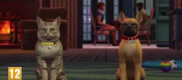 The Polish trailer of the Cats and Dogs expansion pack for 'The Sims 4' has just been leaked online. SimsCommunity/YouTube The Polish trailer of the Cats and Dogs expansion pack for 'The Sims 4' has just been leaked online. SimsCommunity/YouTube