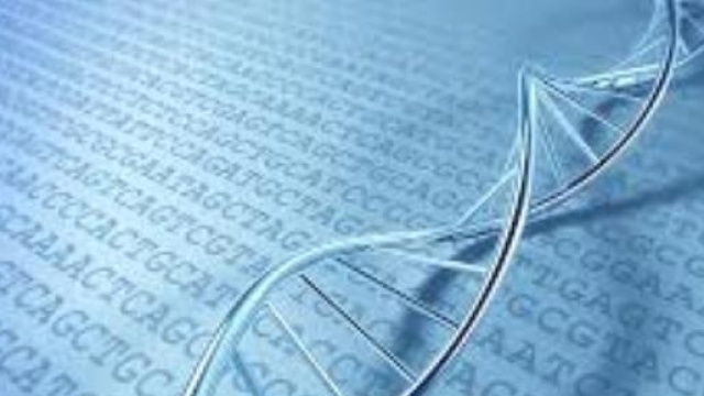 Polimorfismo genetico e microbioma influenzano la risposta alle diete.