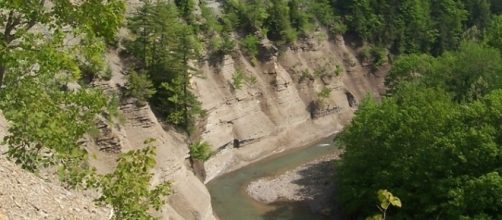 A couple was killed and their sons injured after a fall into the Zoar Valley gorge [Image: Wikimedia by Antepenultimate/CC BY-SA 4.0]