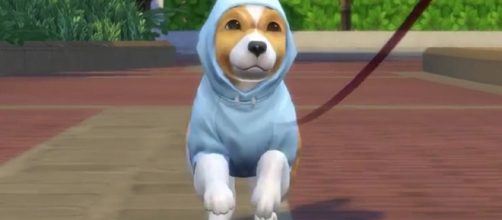 'The Sims 4' Cats and Dogs Expansion/ screen capture from The Sims Official YouTube page