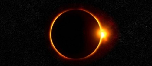 Zoo keepers were interested to see the effect of the total solar eclipse on animals [Image: Pixabay/CC0\