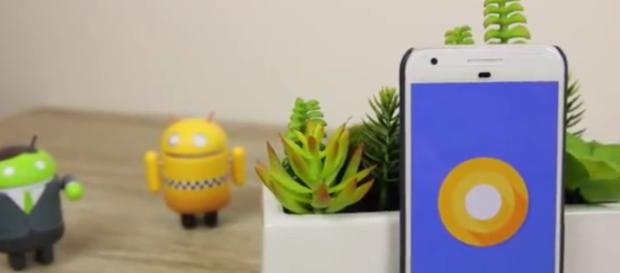 Android oreo Image via 9to5Google/YouTube screenshot Android oreo Image via 9to5Google/YouTube screenshot