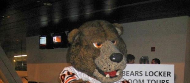 The Bears need more than a stand-in. Blueyeda73 via Wikimedia Commons The Bears need more than a stand-in. Blueyeda73 via Wikimedia Commons
