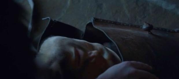 The mysterious face in Arya's bag. Screencap: Dark Aces via YouTube The mysterious face in Arya's bag. Screencap: Dark Aces via YouTube