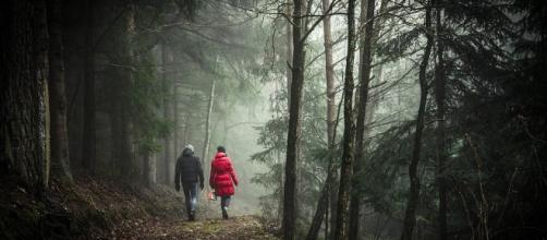 Walking, Forest, Image via Pixabay.