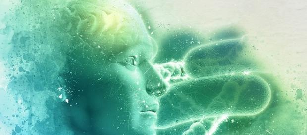 Curso de Naturopatia. Solnatura. Curso de Naturopatia. Solnatura.