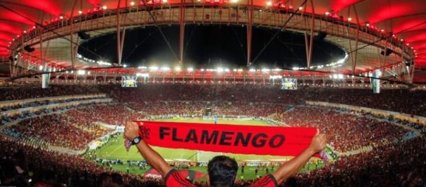 Jogador campeão em 2013 pode voltar Jogador campeão em 2013 pode voltar