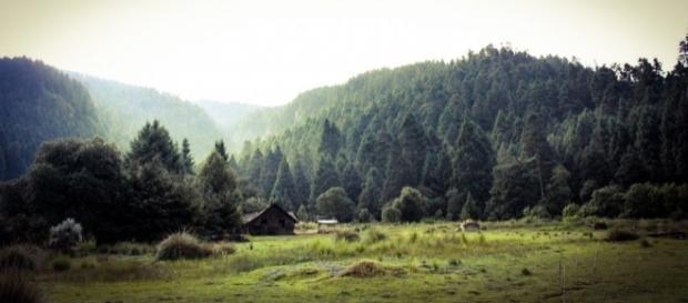 Parque Nacional Insurgente Miguel Hidalgo y Costilla conocido como "La Marquesa" Parque Nacional Insurgente Miguel Hidalgo y Costilla conocido como "La Marquesa"