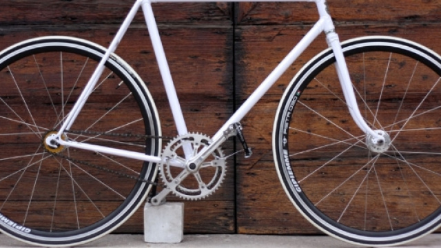 Bicicletta a scatto fisso (foto- biascagne-cicli.it)