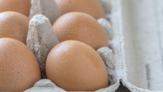 Uova al Fipronil, &egrave; allarme anche in Italia. L'Unione Consumatori ... - diariodelweb.it
