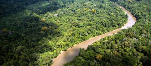 L'Amazzonia è sempre più spoglia, in crescita la deforestazione - lifegate.it