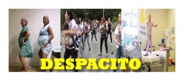 ''Despacito'' dançado por grávidas, mamães e crianças em tratamento ''Despacito'' dançado por grávidas, mamães e crianças em tratamento