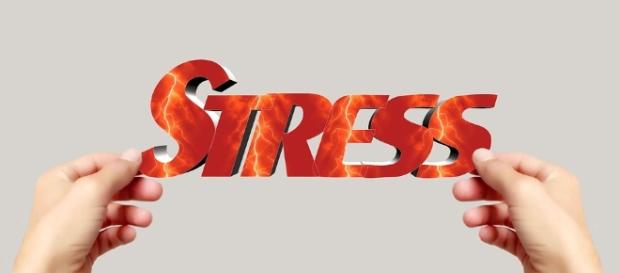Free illustration: Hand, Keep, Font, Stress, Word - Free Image on ... - pixabay.com Free illustration: Hand, Keep, Font, Stress, Word - Free Image on ... - pixabay.com