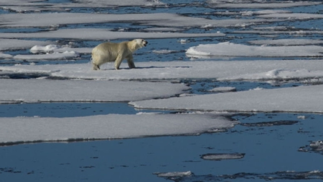 Si sciolgono i ghiacci tra USA e Russia - Sputnik Italia - sputniknews.com