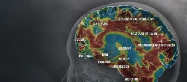 Gli effetti delle metanfetamine sul cervello (http://www.methproject.org/answers/what-does-meth-do-to-your-brain.html#Brain-Damage) Gli effetti delle metanfetamine sul cervello (http://www.methproject.org/answers/what-does-meth-do-to-your-brain.html#Brain-Damage)