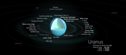 Diagram of the planet Uranus| Kelvinsong (Own work), via Wikimedia Commons