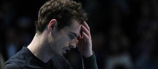 Andy Murray during the 2016 ATP World Tour Finals. Photo by Marianne Bevis, Flicr -- CC BY-ND 2.0